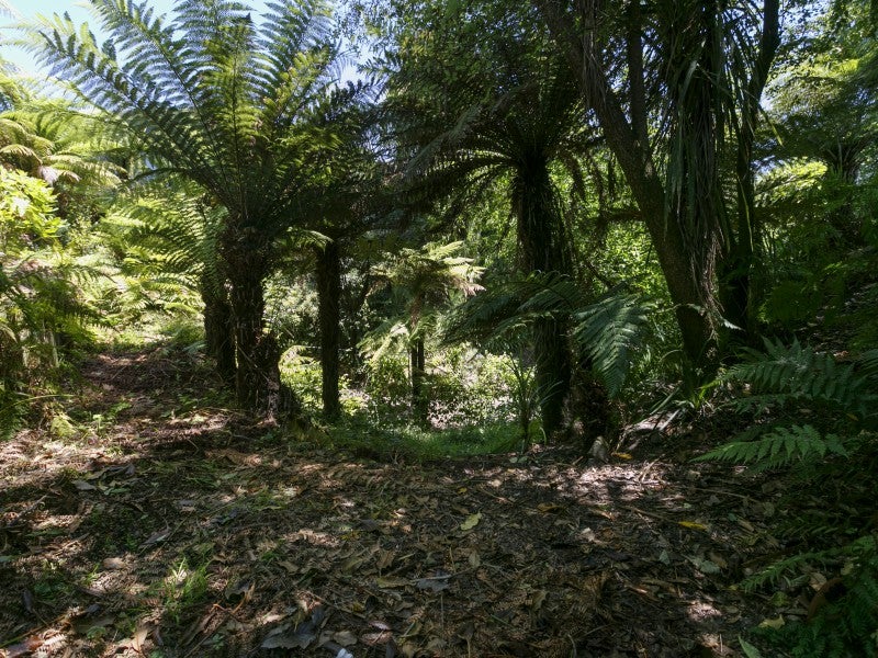 29 Hawai Street, Two Mile Bay, Taupo - Carousel 19