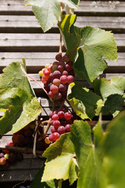 158 North Avon Road, Richmond, Christchurch - Carousel 30