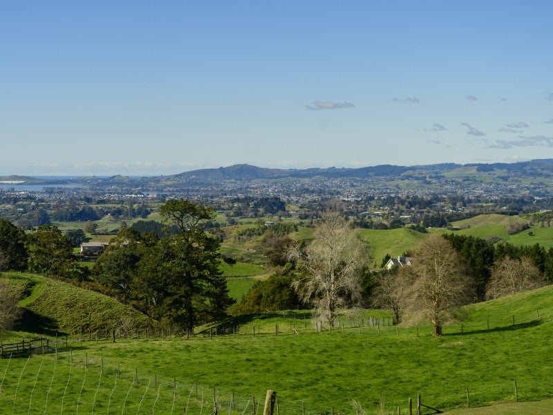 329 Minden Road, Tauranga - Carousel 2