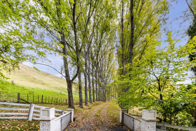 1209 Puketitiri Road, Puketapu - Carousel 31