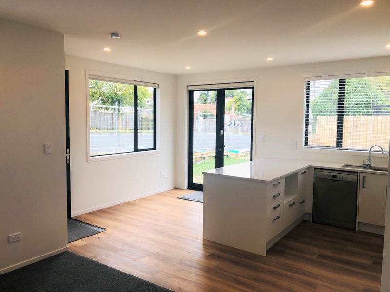 1/119 Maeroa Road, Maeroa, Hamilton - Carousel 2