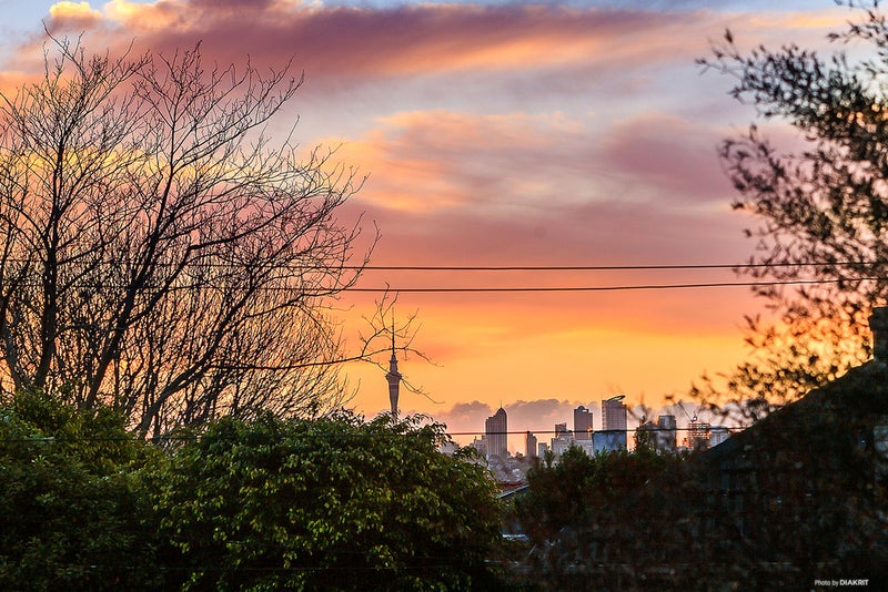 18A Appleyard Crescent, Meadowbank, Auckland - Carousel 12