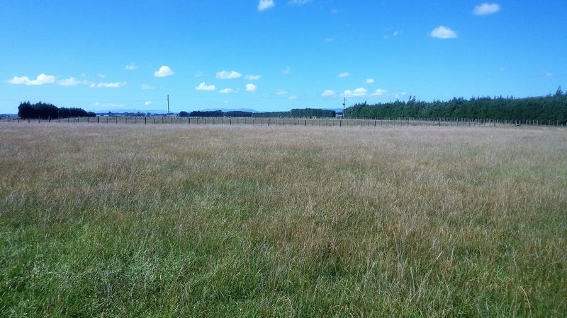 169 Spur Road West, Colyton, Feilding - Carousel 1