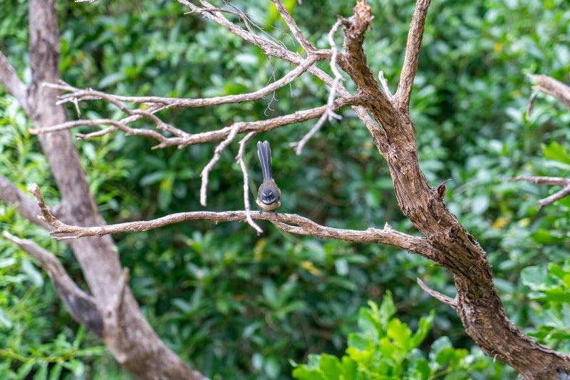 20 Roys Road, Plimmerton, Porirua - Carousel 32