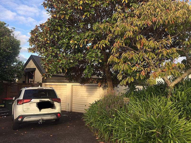 22 Clipper Place, Shelly Park, Auckland - Carousel 24