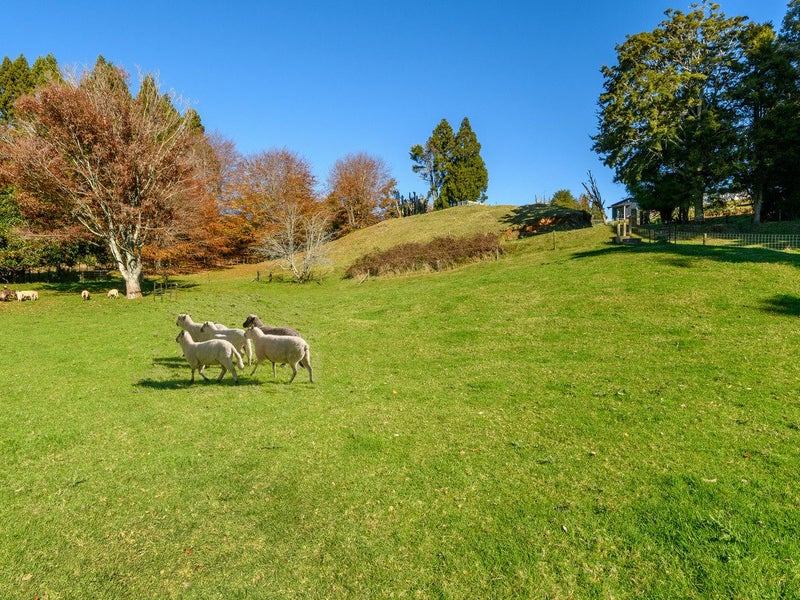 98 Glue Pot Road, Tauranga - Carousel 2