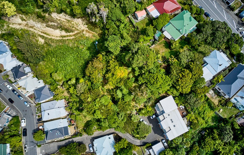 6E Reuben Avenue, Brooklyn, Wellington - Carousel 11