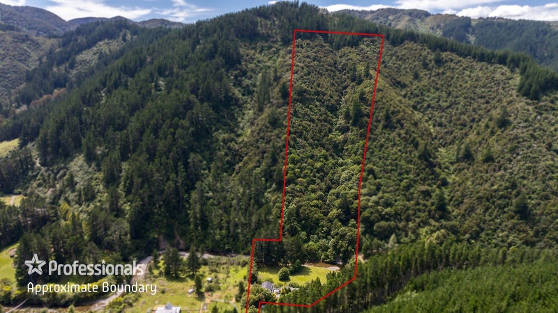 2296B Akatarawa Road, Akatarawa Valley, Upper Hutt - Carousel 49