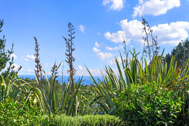 248 Reid Road, Te Puke - Carousel 30