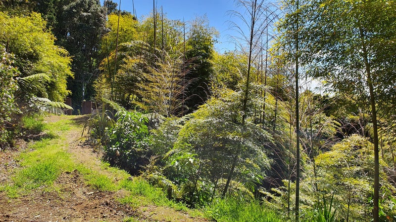 41 Brois Street, Frankleigh Park, New Plymouth - Carousel 2