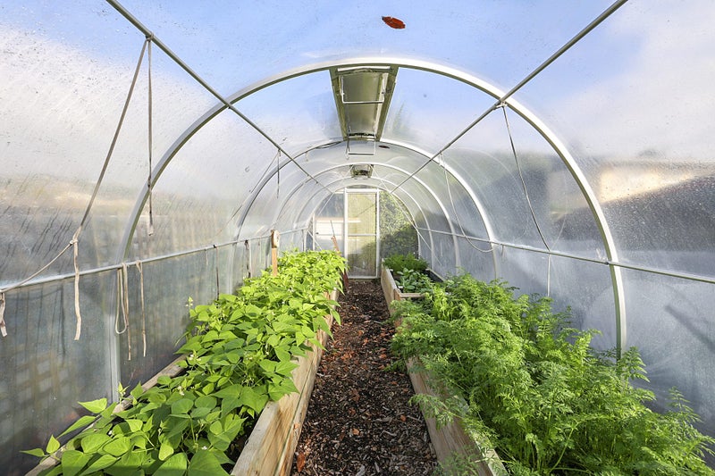 167 Govett Avenue, Frankleigh Park, New Plymouth - Carousel 18