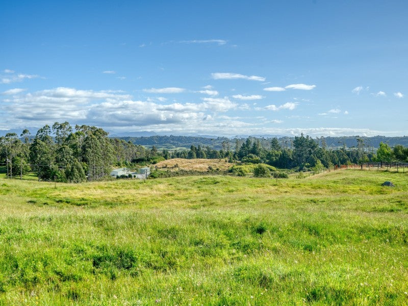 445 Lake Kaniere Road, BLUE SPUR, HOKITIKA - Carousel 1