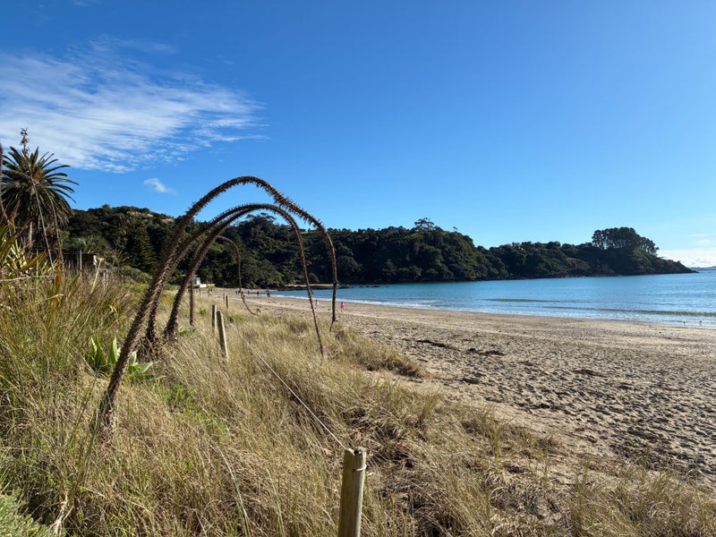 7 Te Toki Road, Ostend, Waiheke Island - Carousel 9