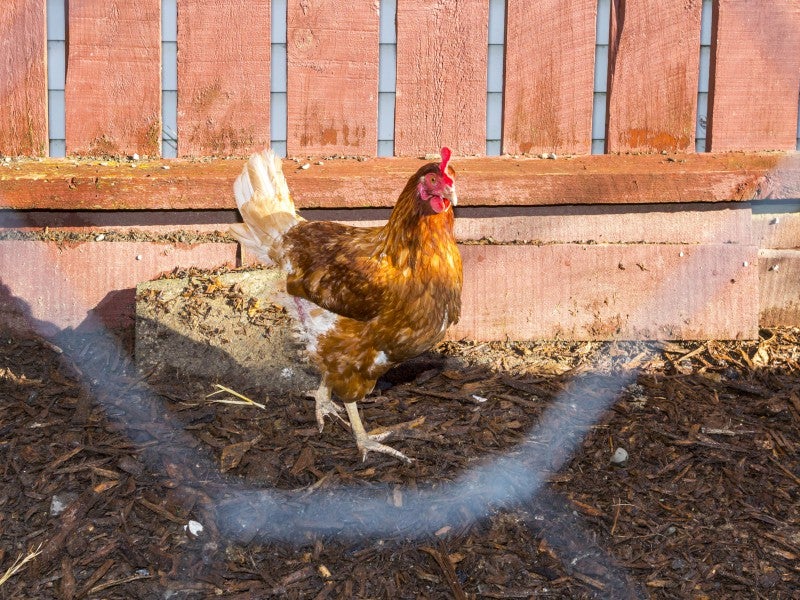 2/33 Tararua Street, Trentham, Upper Hutt - Carousel 20