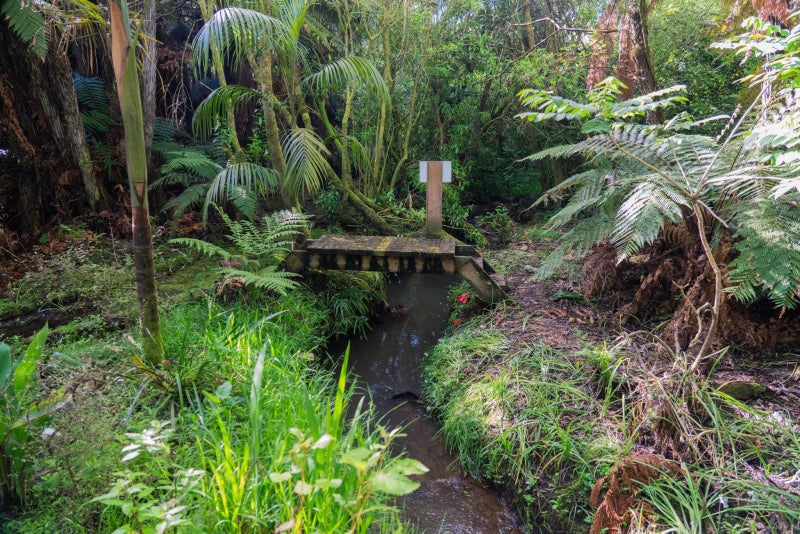 70A Nevada Road, Silverdale, Hamilton - Carousel 20