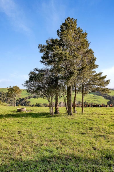 0 Mangapai Caves Road, Mangapai, Whangarei - Carousel 20
