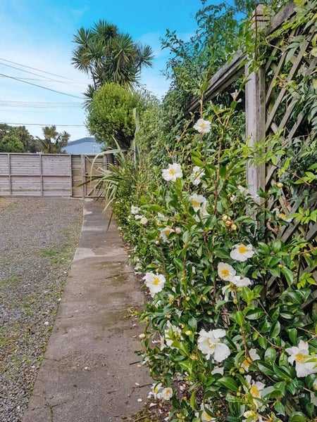 6 Duppa Street, Berhampore, Wellington - Carousel 10