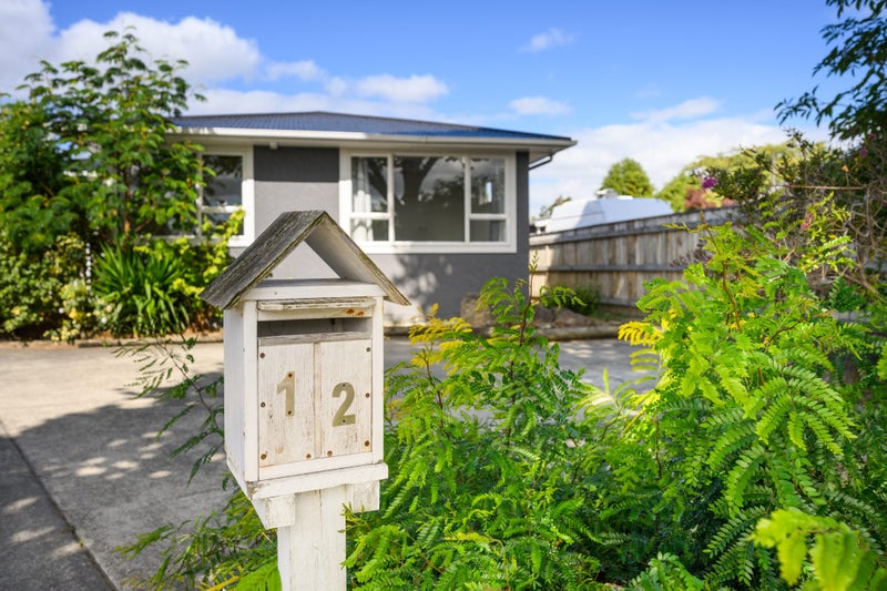 12 Conway Place, Terrace End, Palmerston North - Carousel 18