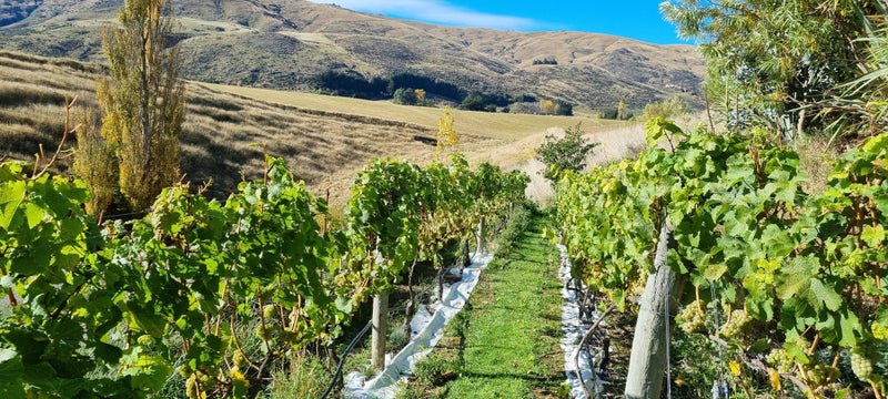 26A Nevis Road, Garston, Athol - Carousel 34