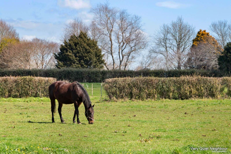 20 Village Way, Ardmore, Papakura - Carousel 2