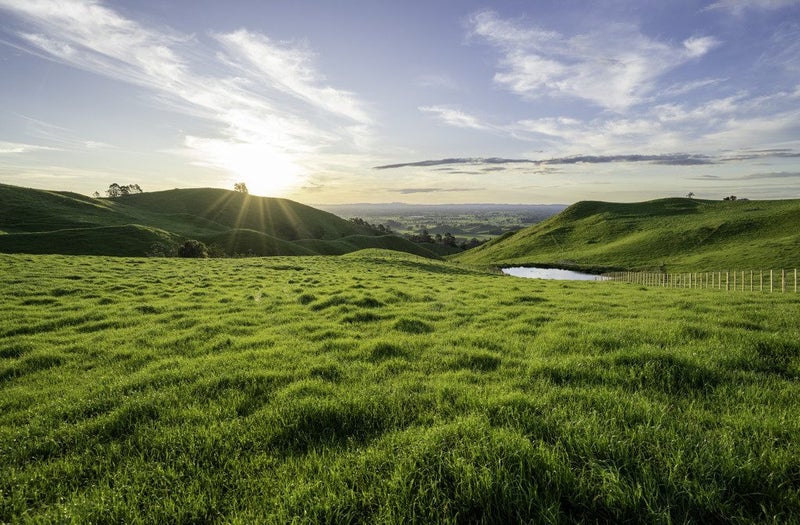 697 Maungakawa Road, Te Miro, Cambridge - Carousel 1