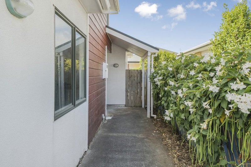 29A Brussels Street, Miramar, Wellington - Carousel 13