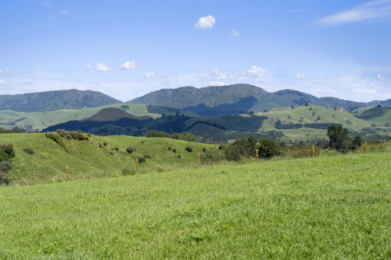 409B Poutakataka Road, Rotorua - Carousel 2