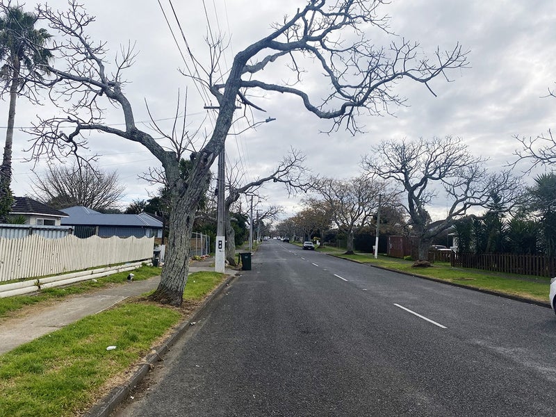 63 Gloucester Road, Manurewa, Auckland - Carousel 12