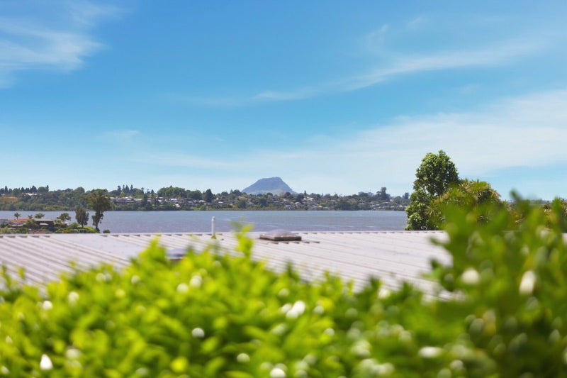 111 Sapphire Drive, Hairini, Tauranga - Carousel 22