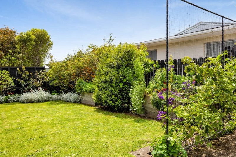 2/47 Record Street, Fitzroy, New Plymouth - Carousel 19