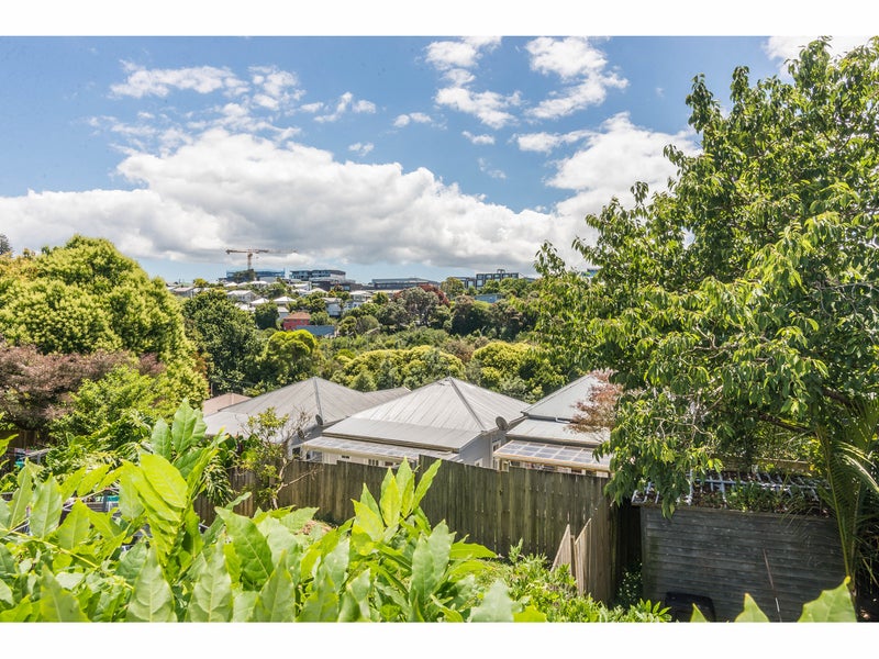 1 Copeland Street, Eden Terrace, Auckland - Carousel 2