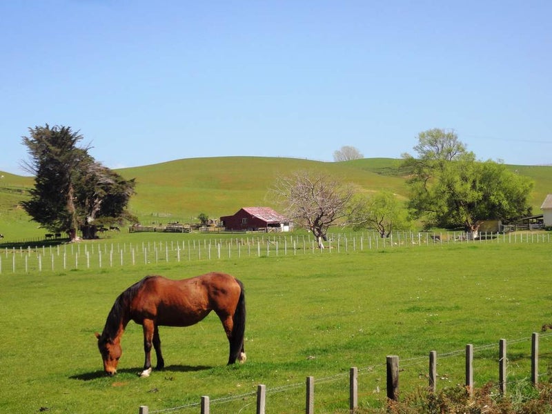 84 Midland Road, Ashhurst, Feilding - Carousel 2