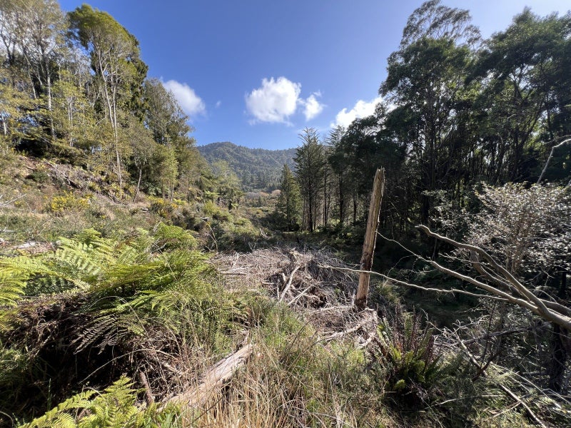 137 Clifton Road, Kaiata, Greymouth - Carousel 14