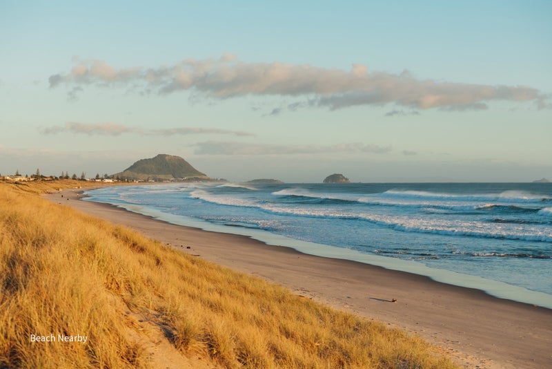 21 Lavender Place, Papamoa Beach, Papamoa - Carousel 19