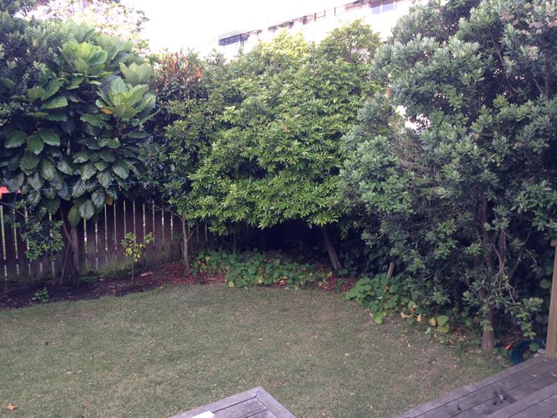 18 Carlton Gore Road, Grafton, Auckland - Carousel 13