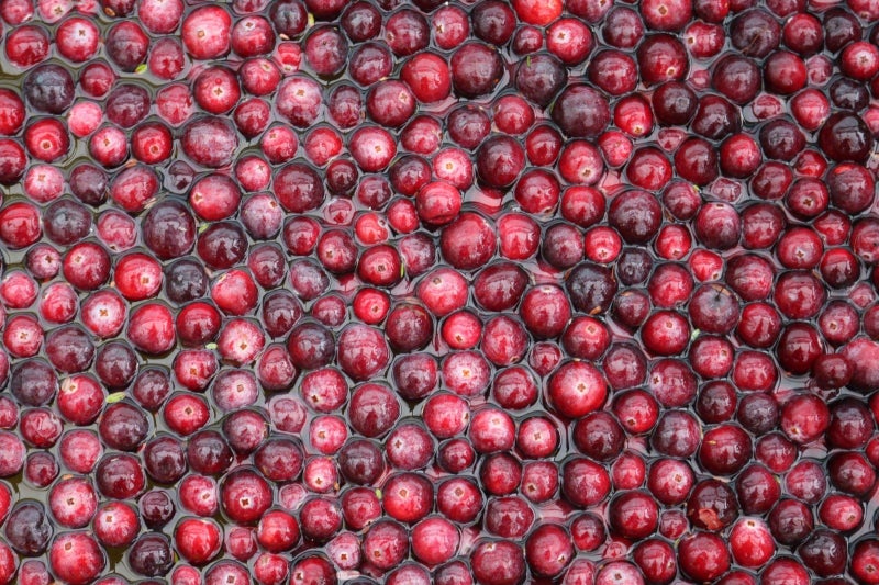 1218 Old Christchurch Road, Awatuna - Carousel 1