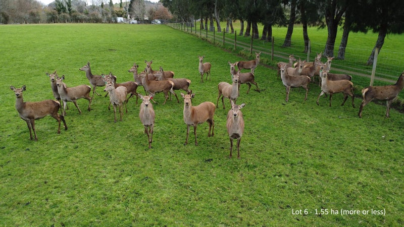 0 Tarukenga Road, Ngongotaha Valley, Rotorua - Carousel 1