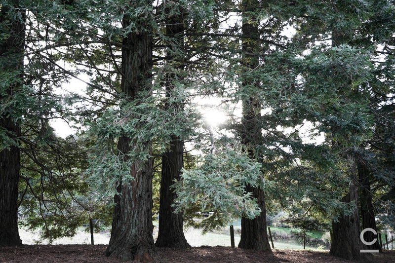 104 Crawford Road, Minden, Tauranga - Carousel 1