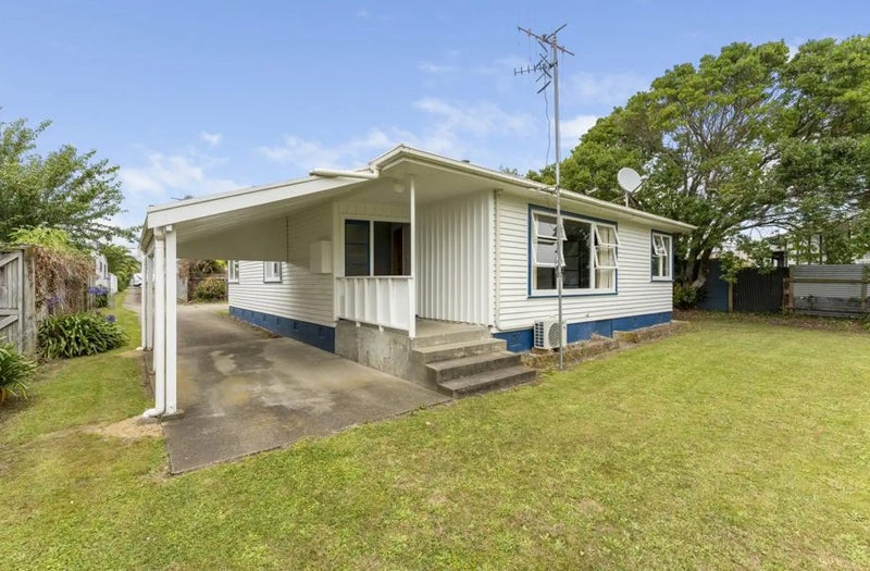 20A McKenzie Street, Levin, Levin - Carousel 1