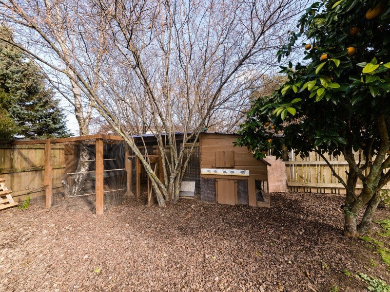 28A Brydon Street, Springlands, Renwick - Carousel 26