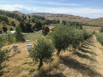 1302 Waimarama Road, Havelock North - Carousel 1