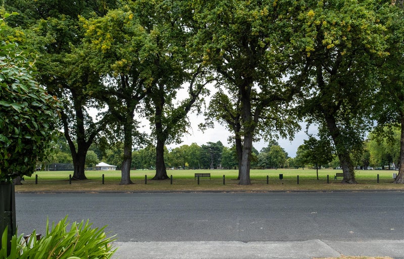 509A Cornwall Road, Mahora, Hastings - Carousel 13