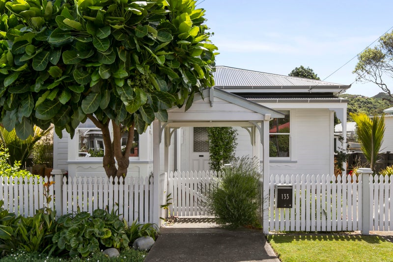 133 Richmond Street, Petone, Lower Hutt - Carousel 28