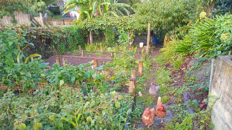 11 Sunnyside Road, Sunnyvale, Auckland - Carousel 2