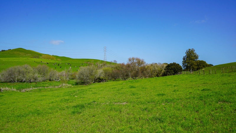 304B Waiterimu Road, Ohinewai - Carousel 10