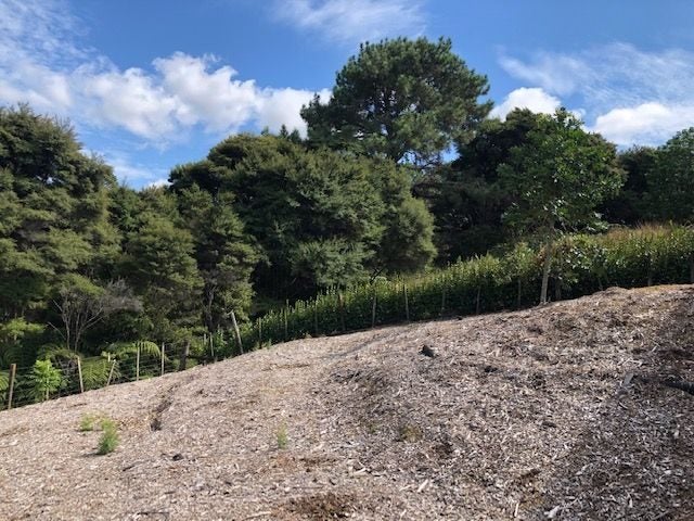 185 Ridge Road, Albany - Carousel 13