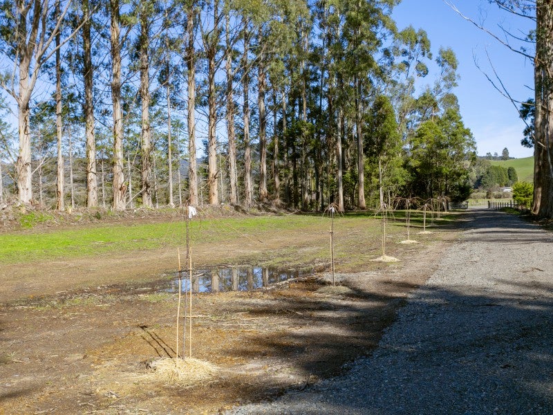 32 Kowhai Drive, Kuratau - Carousel 20