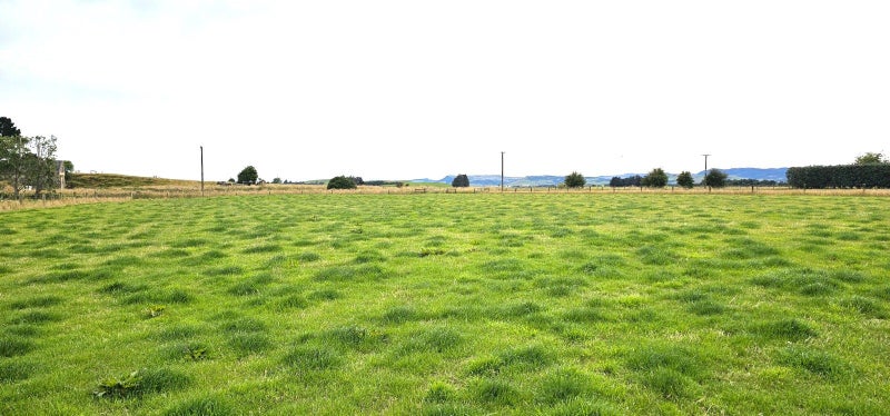 30 Lady Barkly Road, WINTON, Winton - Carousel 2