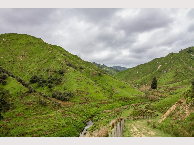 950 Waimate Road, WAIMATE NORTH, KERIKERI - Carousel 1