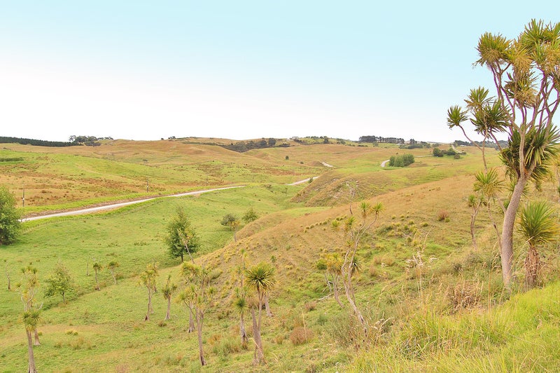 0 Parekura Road, Kaiwaka, Kaiwaka - Carousel 12